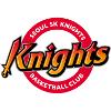 首尔SK骑士logo