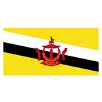 文莱logo